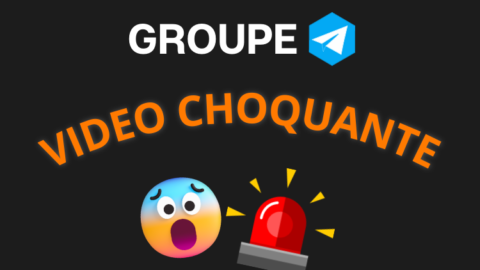 Meilleur groupe telegram vidéo choquante 2023