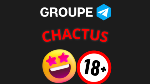 Groupe telegram chactus off