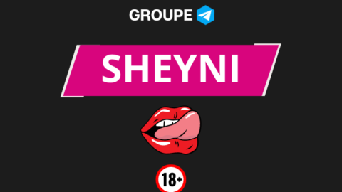 Sheyni telegram